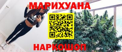 сатива Тверь
