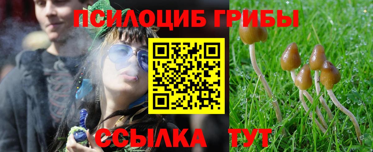 Псилоцибиновые грибы Magic Shrooms  наркотики  Печора  Вход с VPN 
